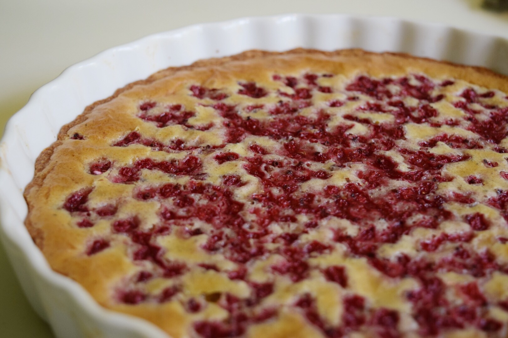 Glutenfri vit kladdkaka med röda vinbär